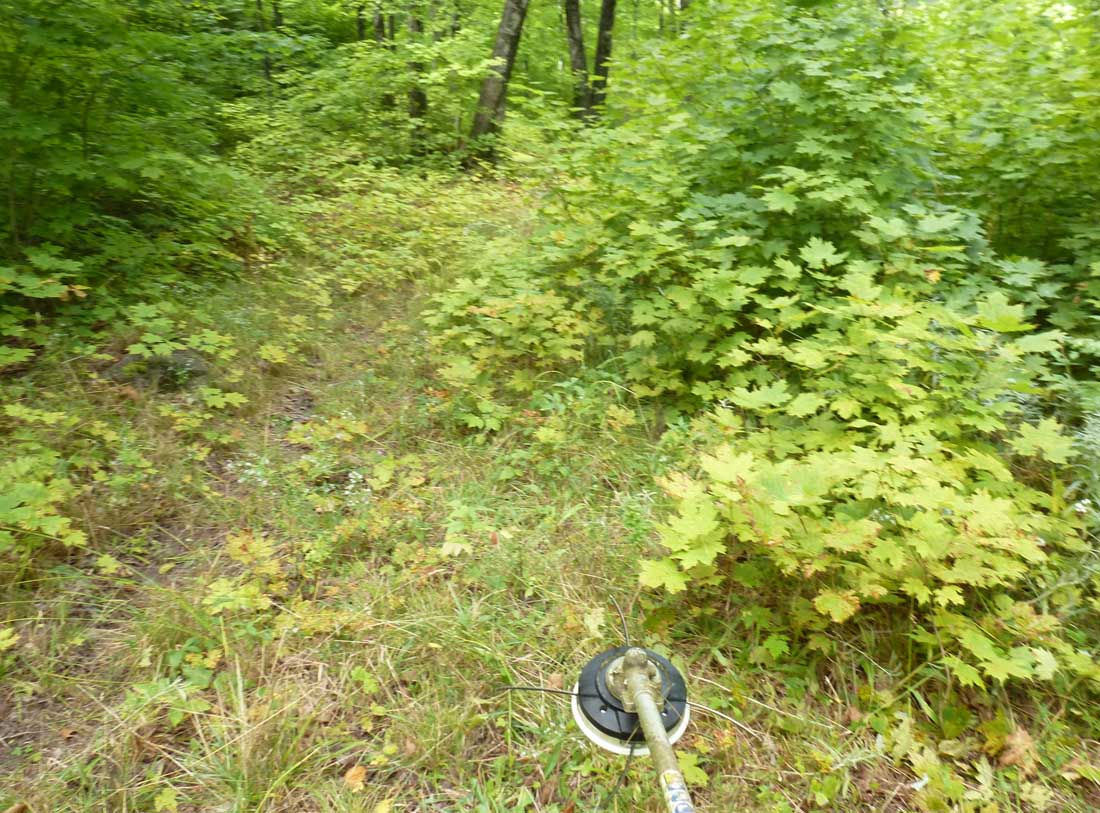 P1010795.jpg