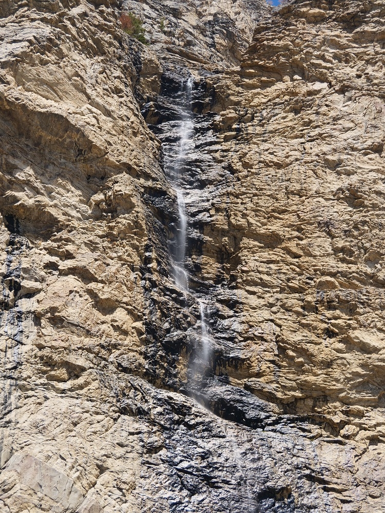 P1013039rtbn9-5-25.jpg
