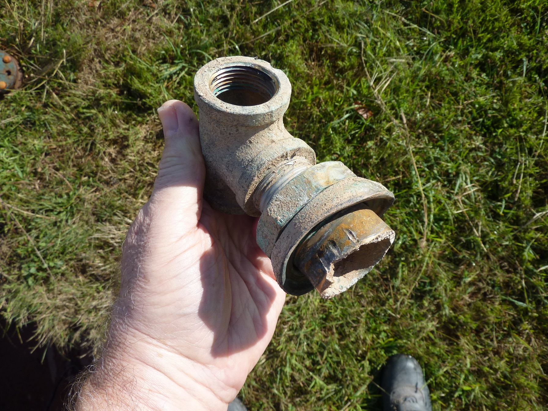 P1090709a.jpg