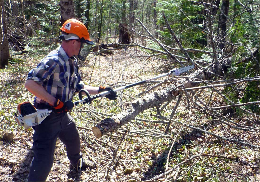 pole saws at work (photos) Page 11