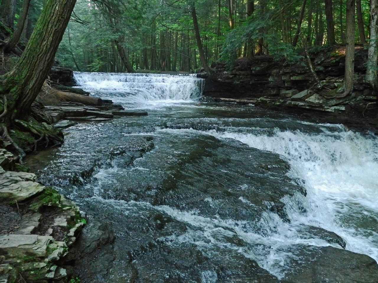 P1120441er.jpg