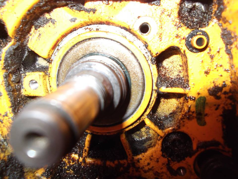 p475sealpto.png