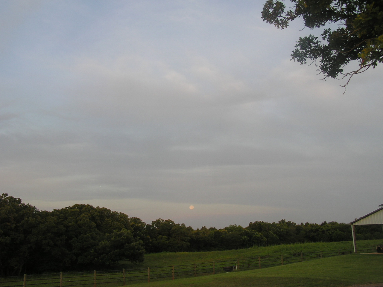 P7020028.JPG
