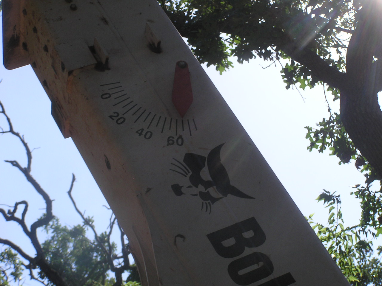 P7210034 17' Max.JPG