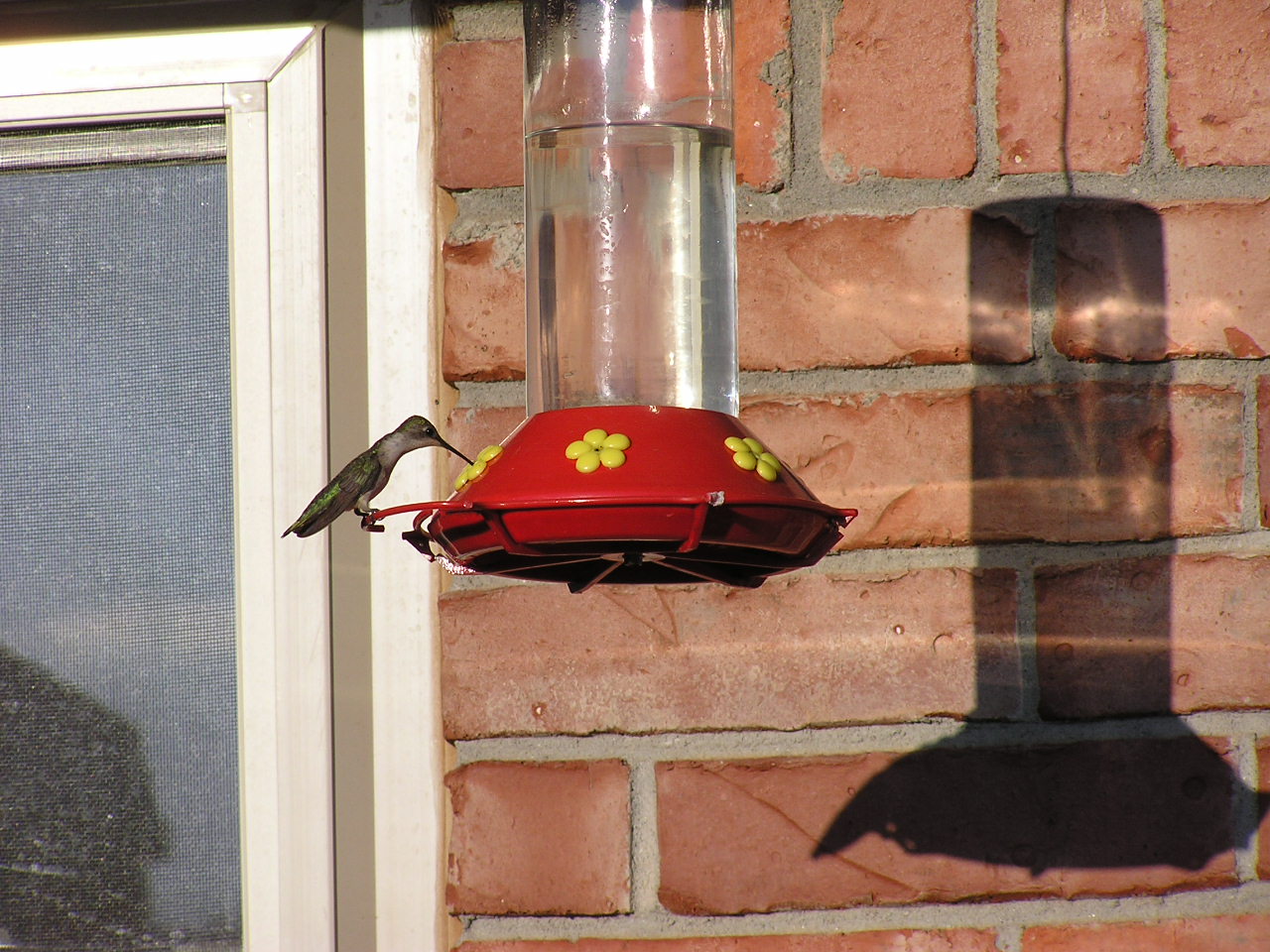 P7260567.JPG