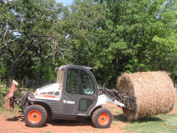 P8110006.JPG P8110006.JPG