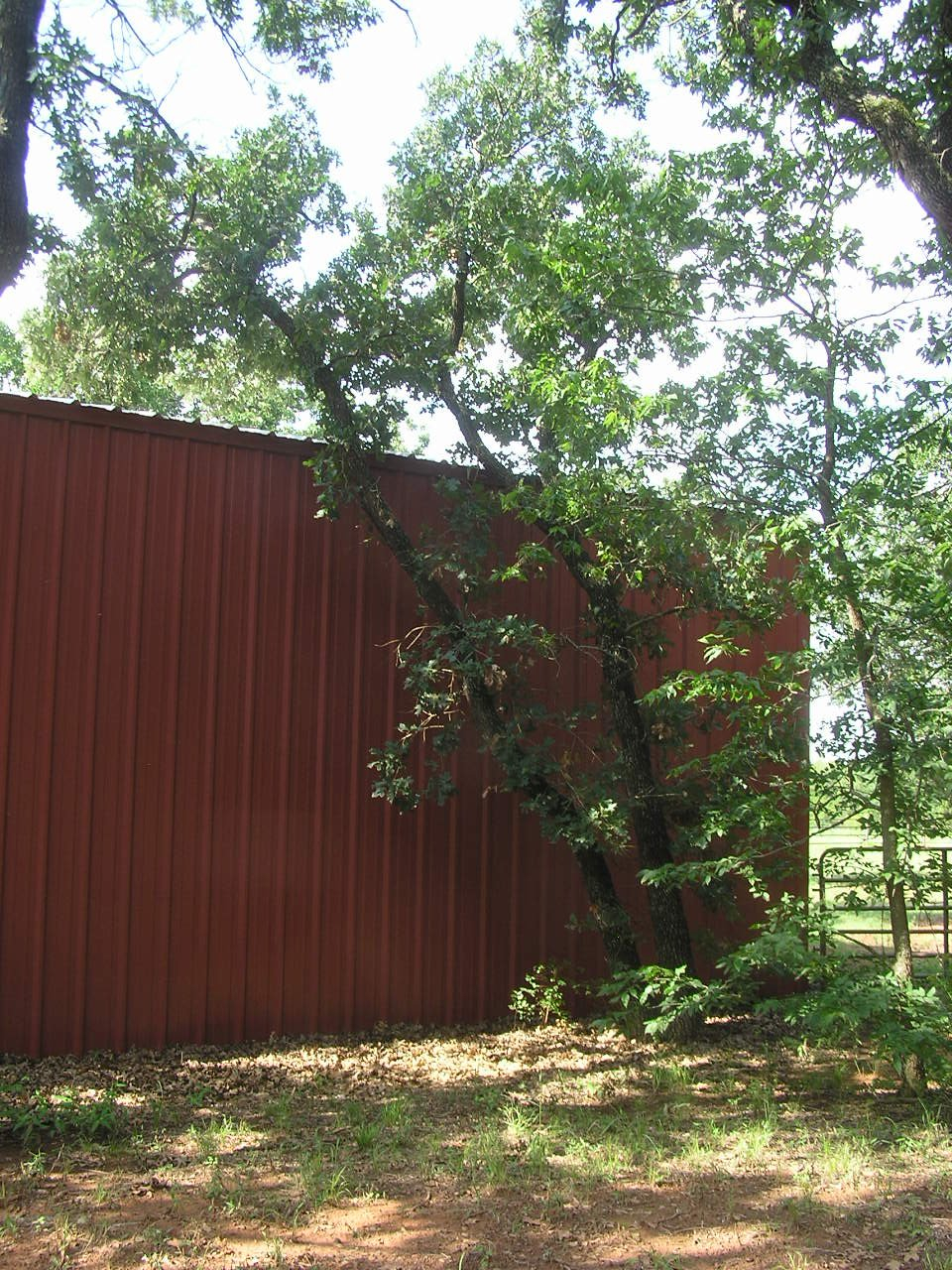 P8260006.JPG