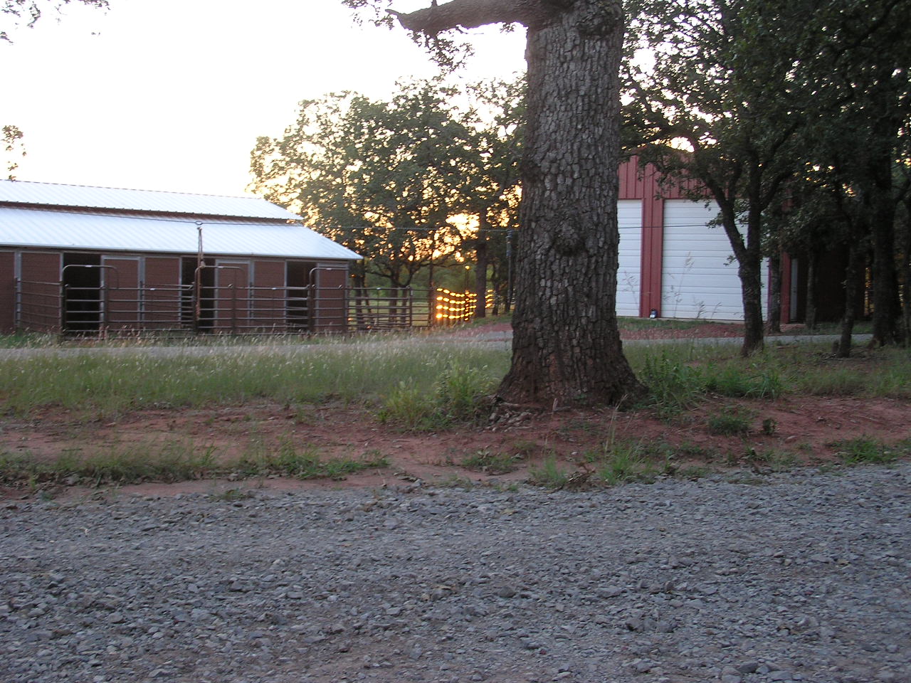 P9230003.JPG