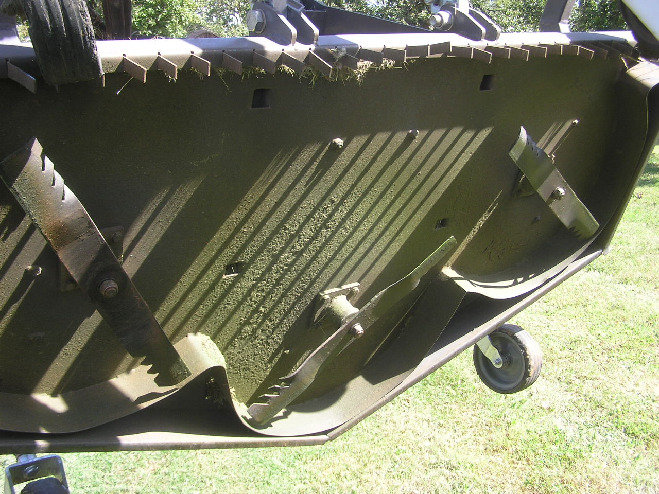 PA080007.JPG