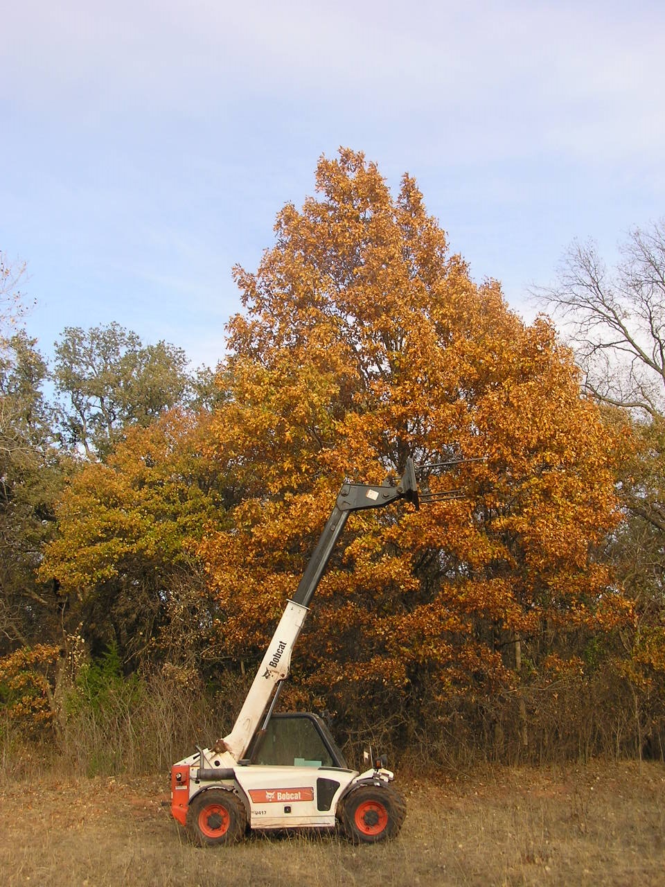 PB150002.JPG