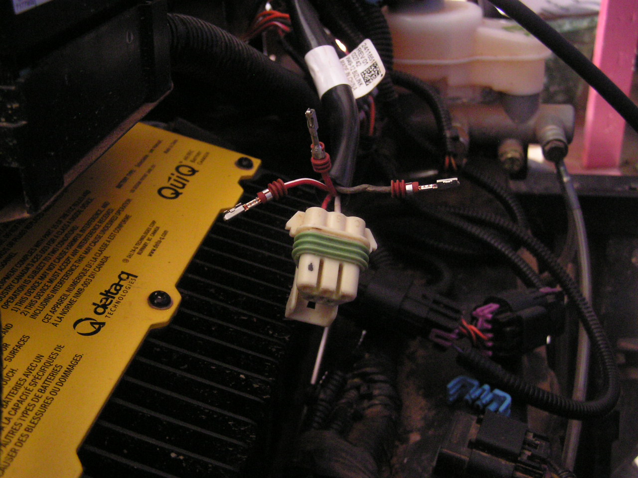 PB240002.JPG