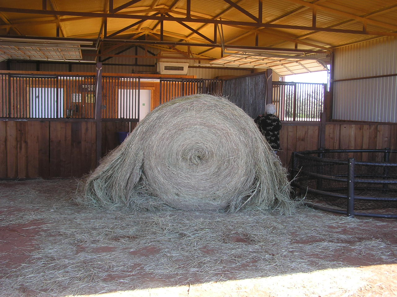 PC280013.JPG