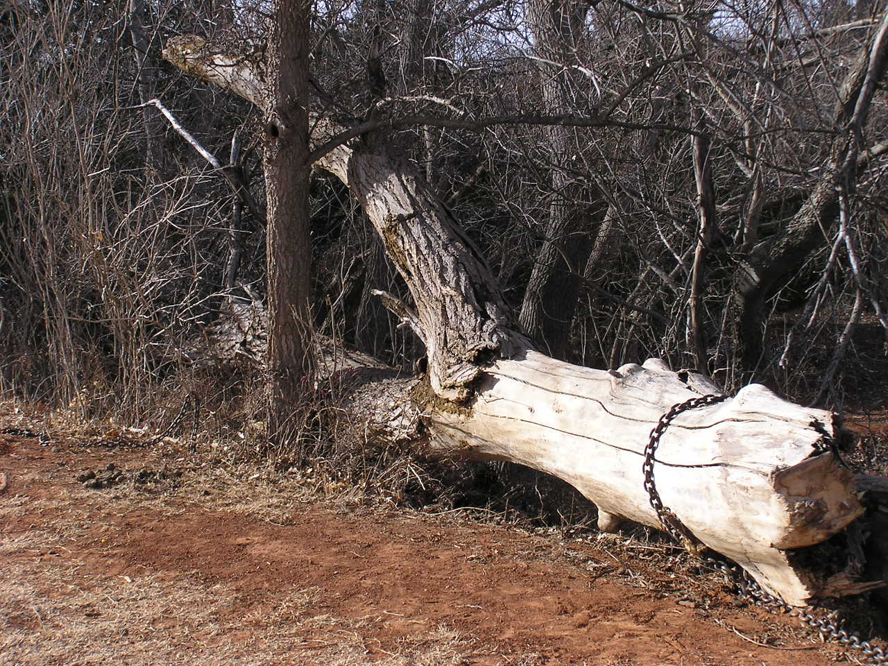 PC312030.JPG