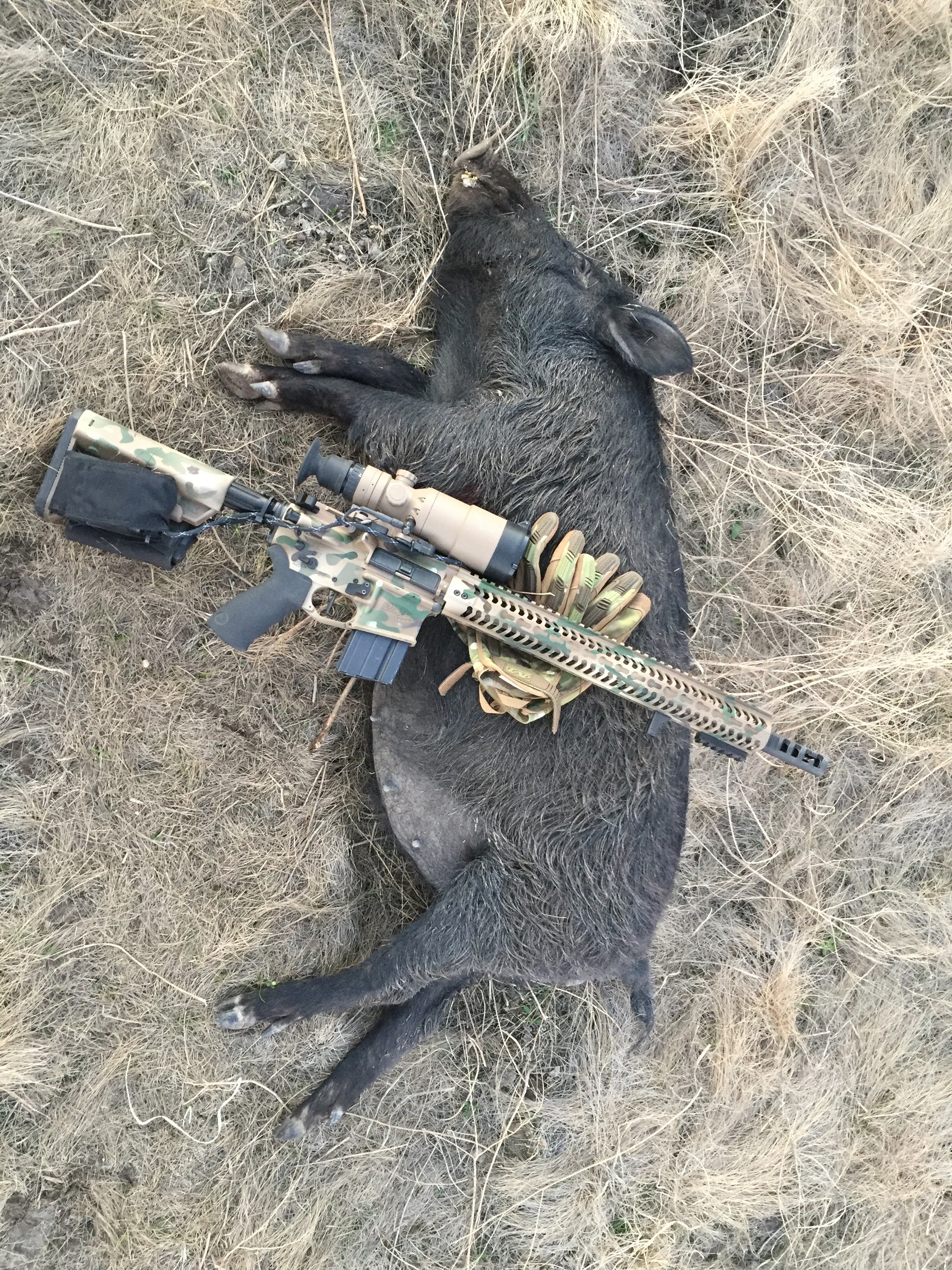 Piggy Down.jpeg