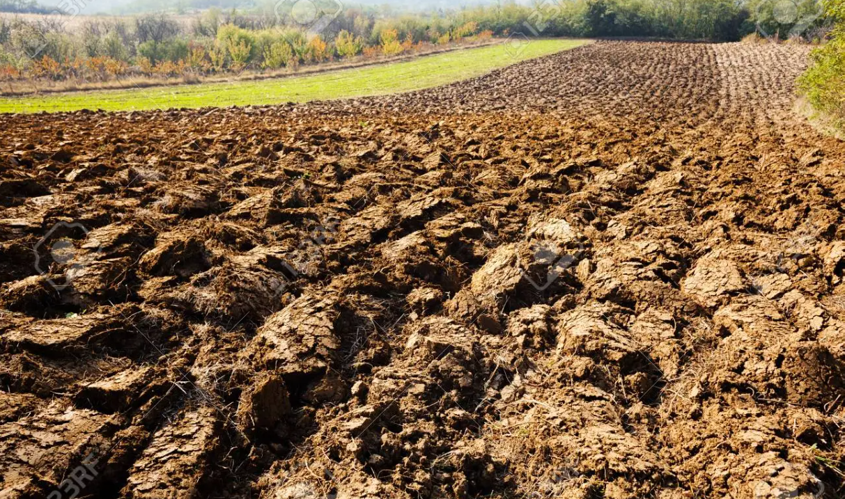 Plowed.png