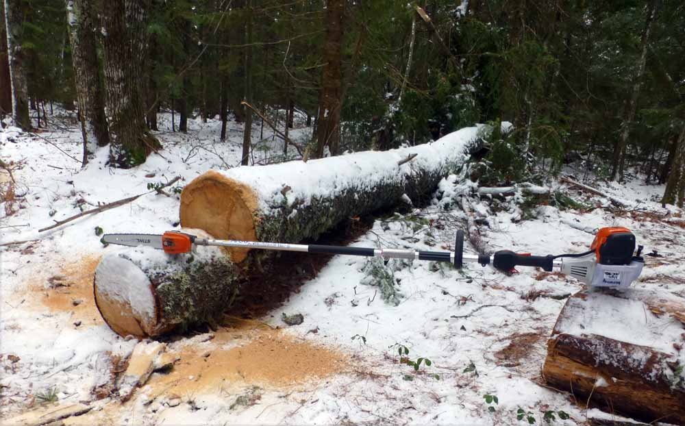 polesaw works367.jpg