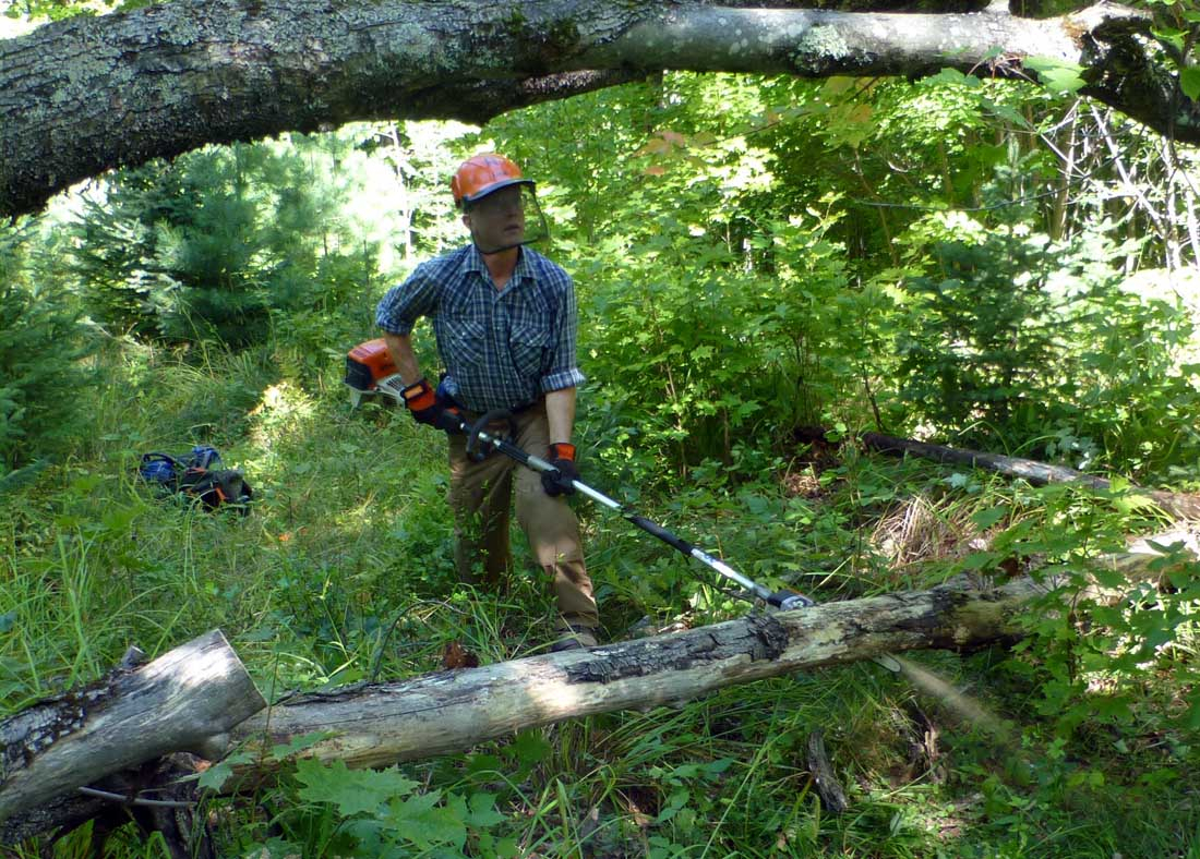polesaw0178.jpg