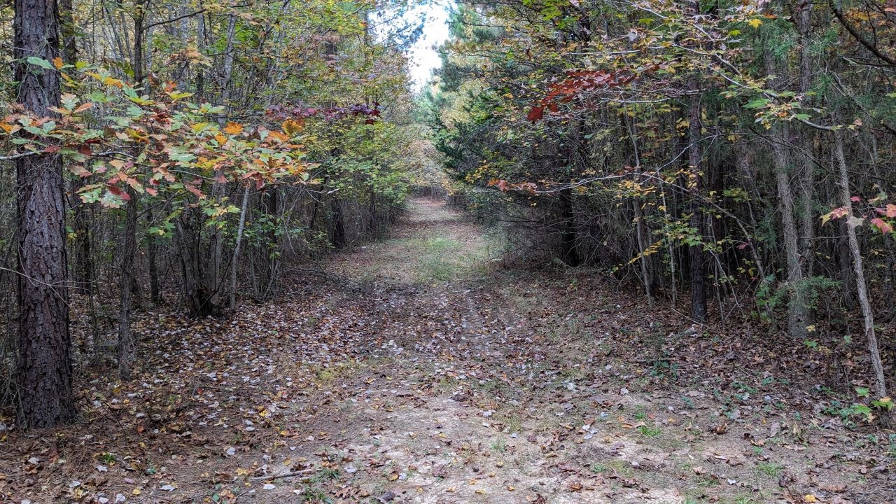 PXL_20241026_185221479b.jpg