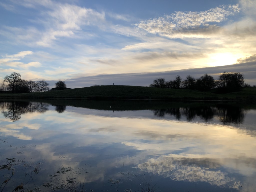 Reflection.JPG