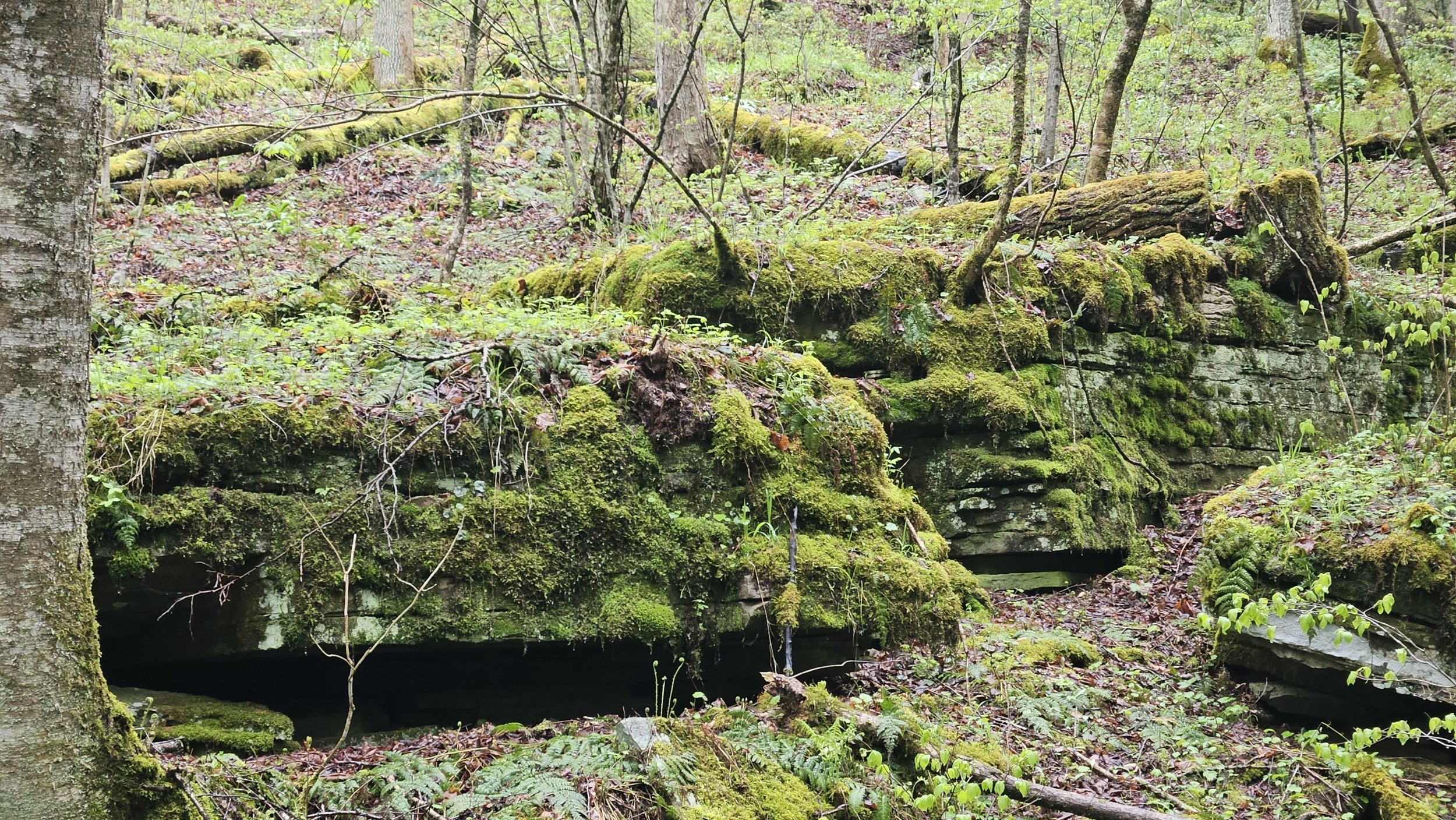 rocks 04.jpg