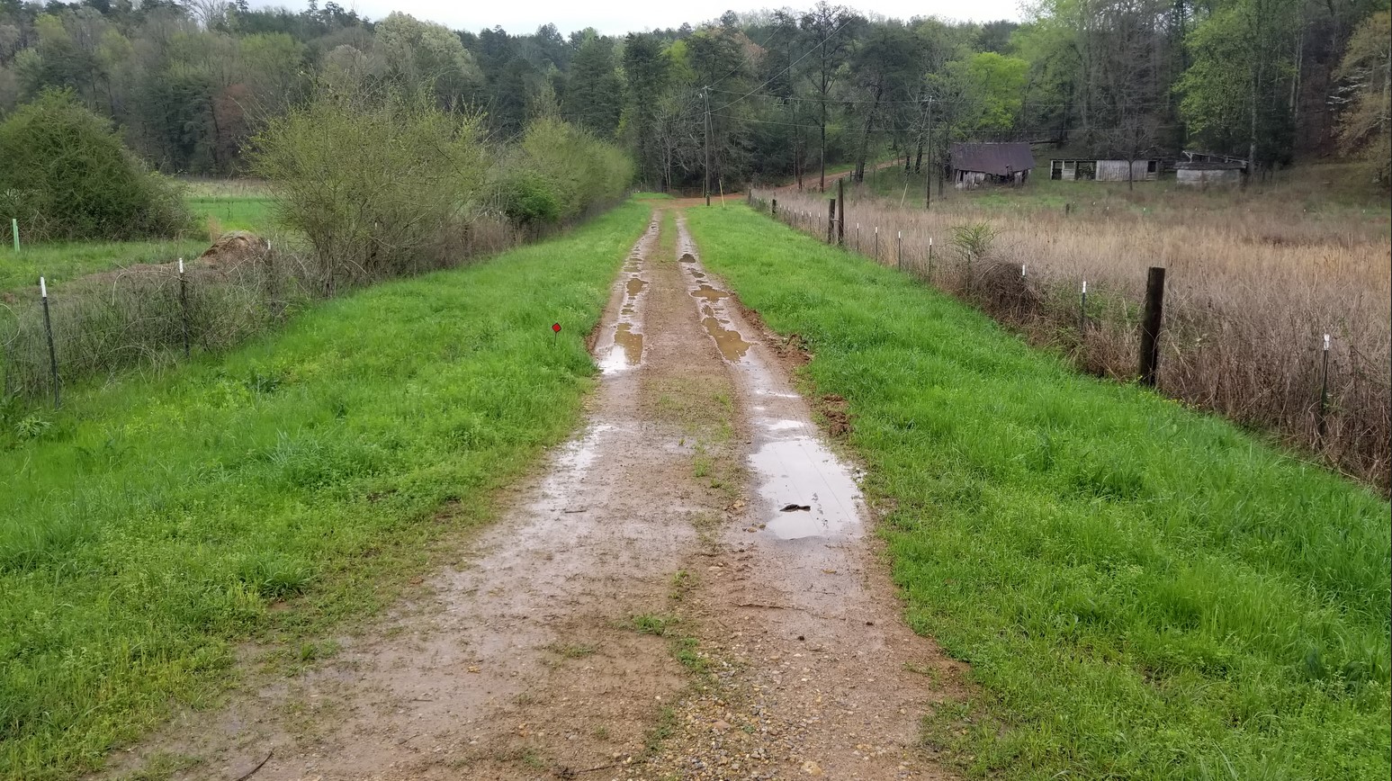 Ruts.jpg
