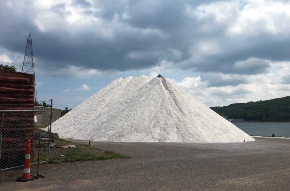 salt40671.jpg