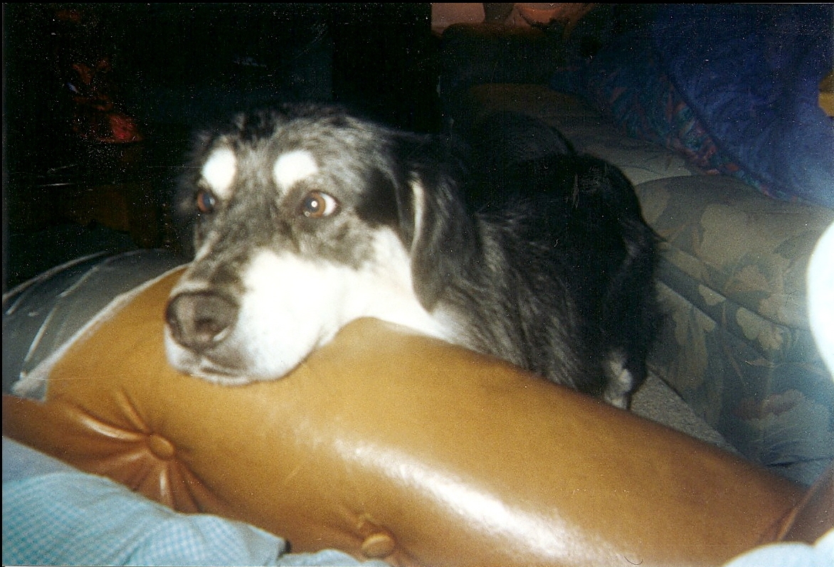 scan0114.jpg