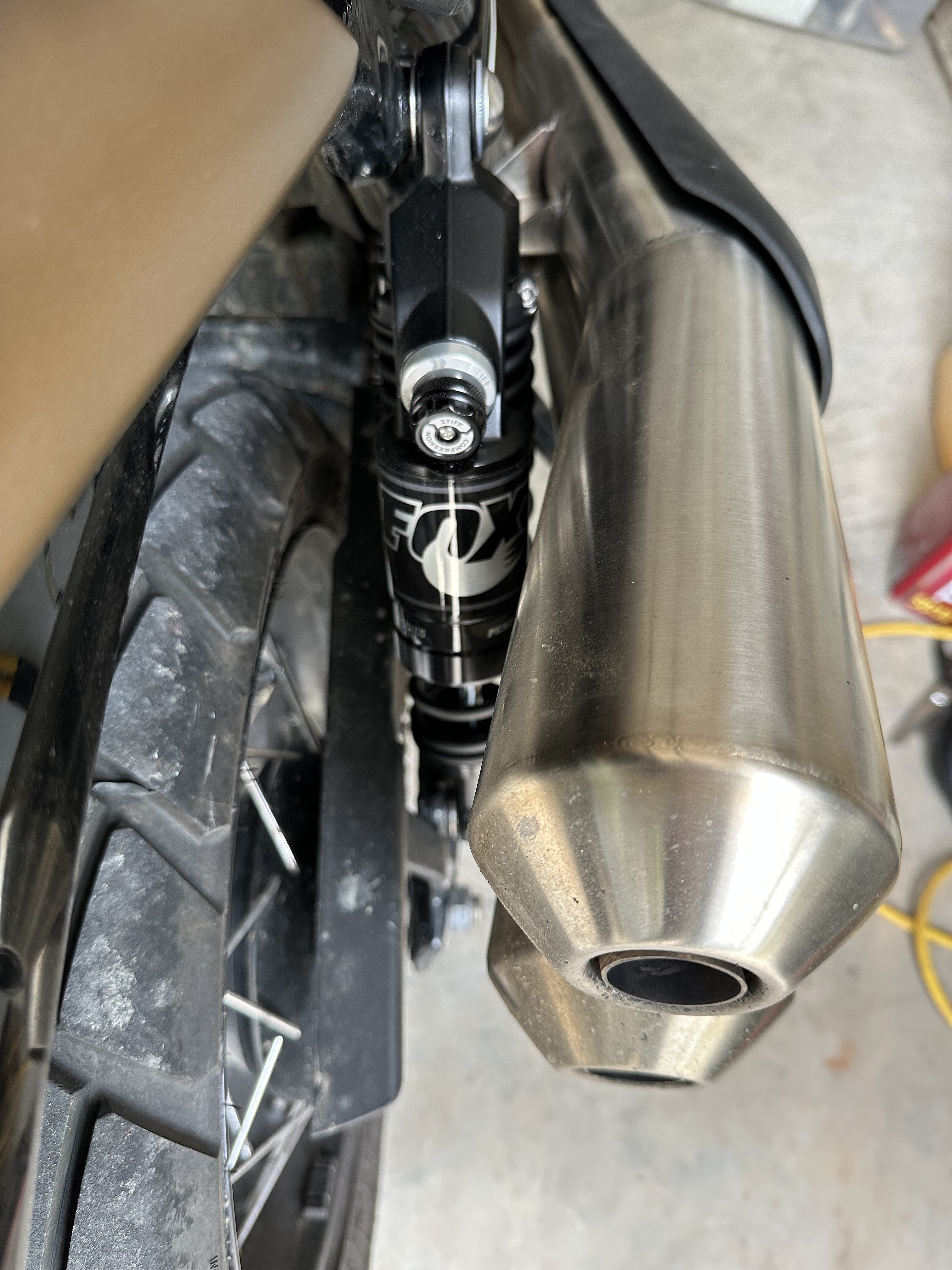 Scrappy Muffler Side Fox.jpeg