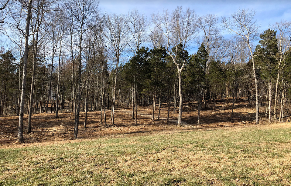 Screenshot 2022-04-28 135259.png