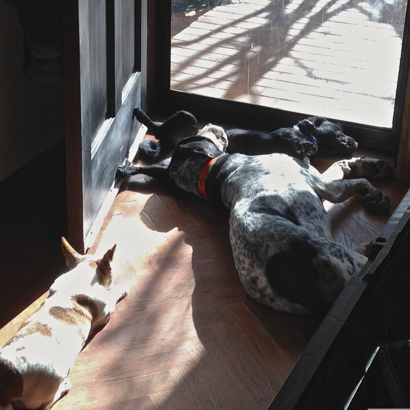 Screenshot 2024-08-17 at 6.52.31 AM.png