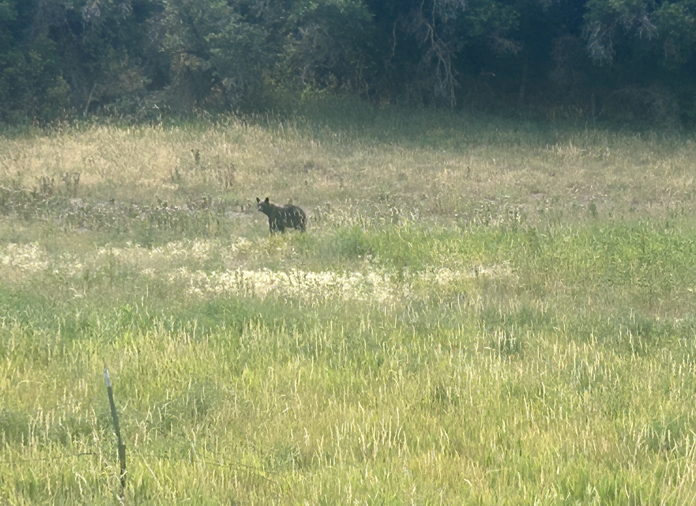 Screenshot at Aug 19 21-08-13.png