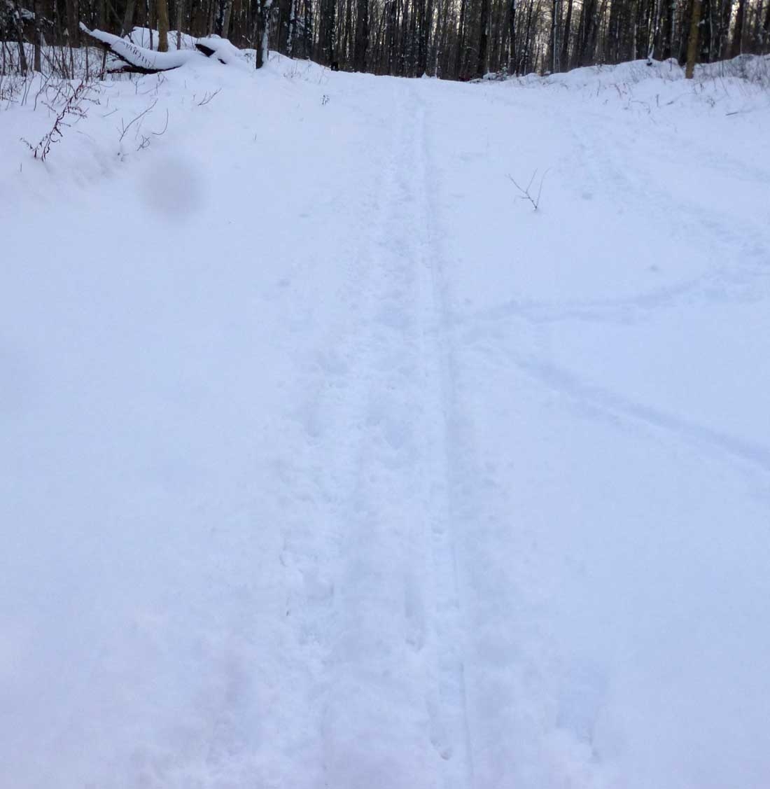 skier0228.jpg