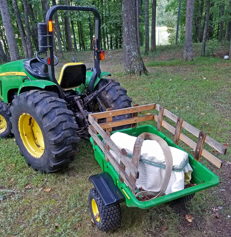 Skunk Sept 2017 C.jpg