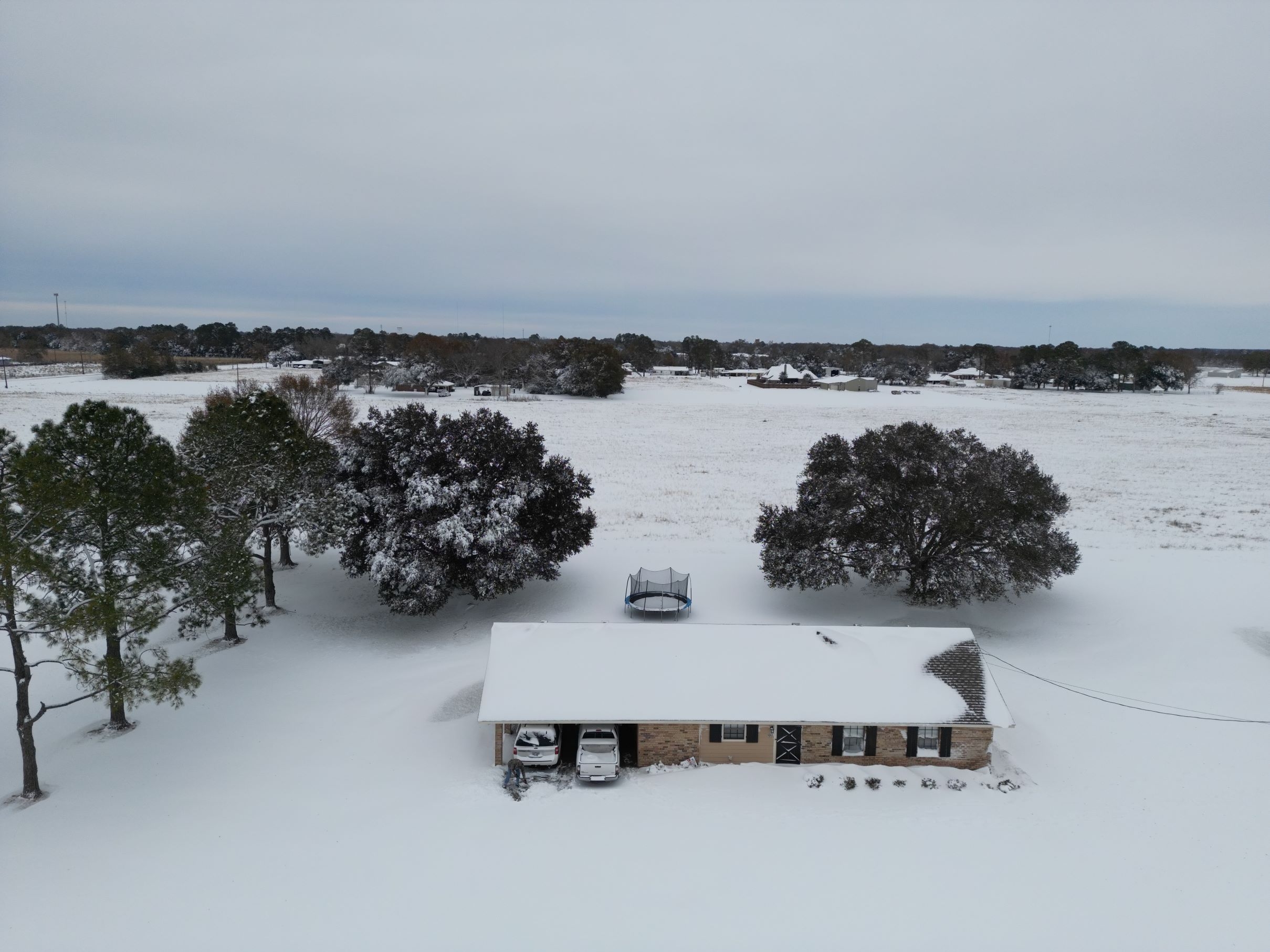 Snow 2025-3.JPG