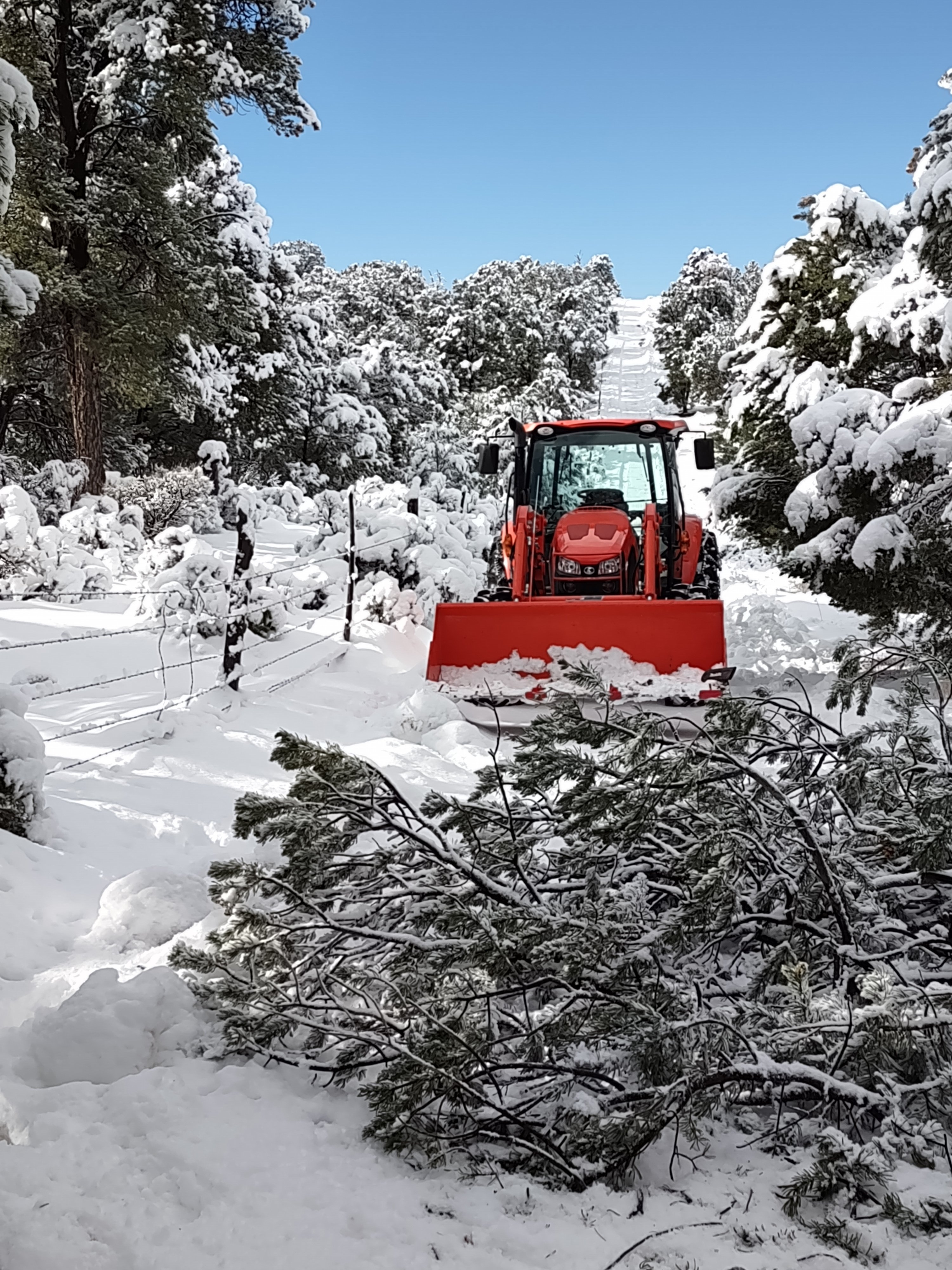 snow.jpg
