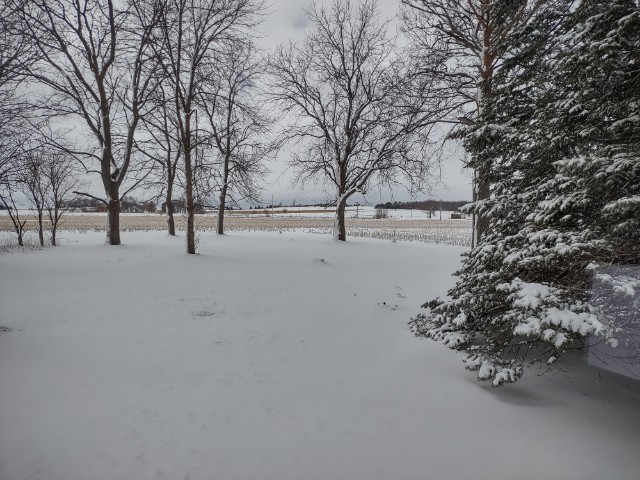 snow.jpg