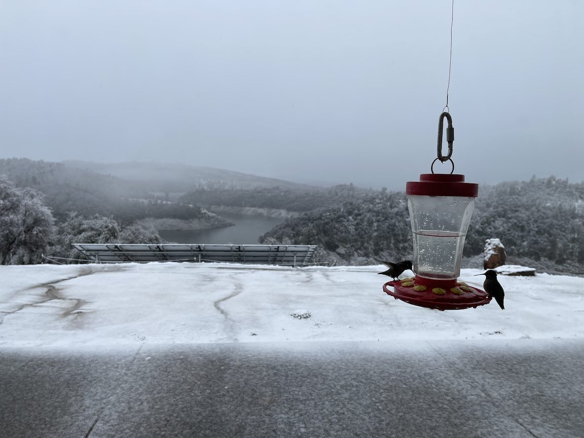 snowHummers.jpg