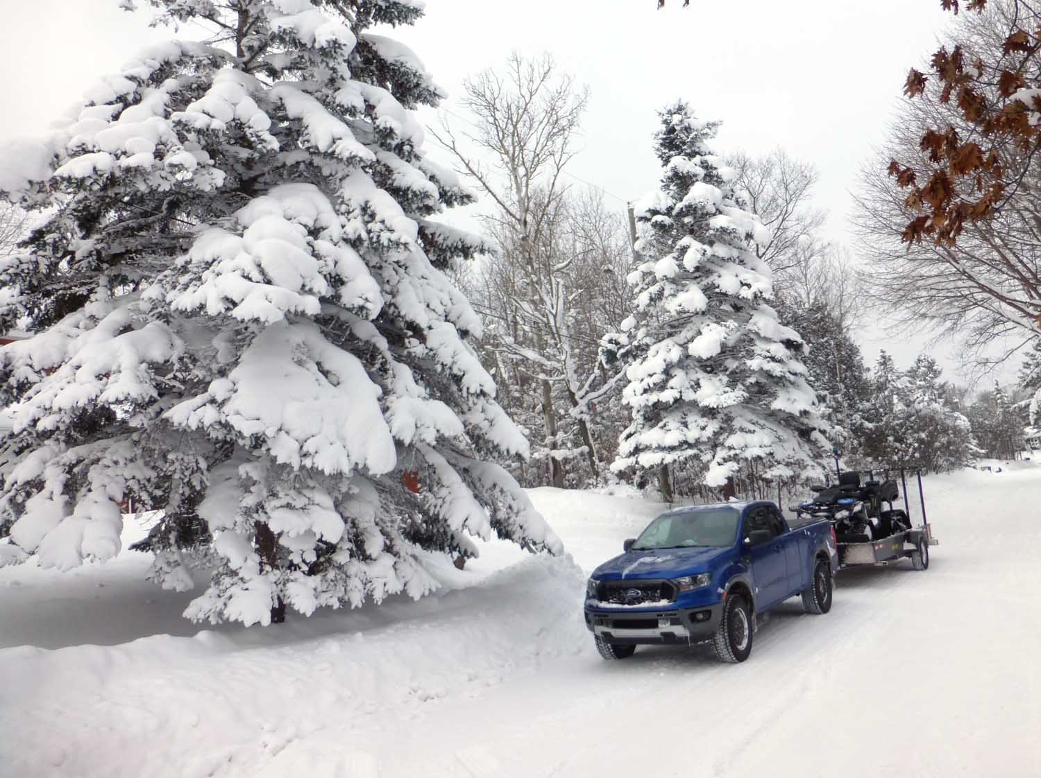 snowranger0433.jpg