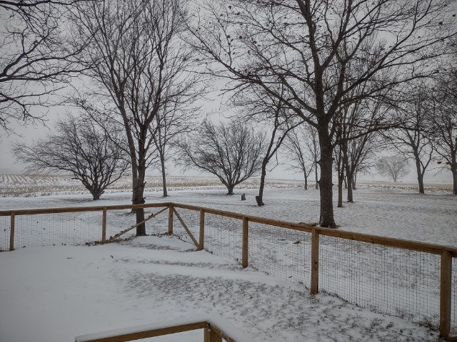 snowy.jpg