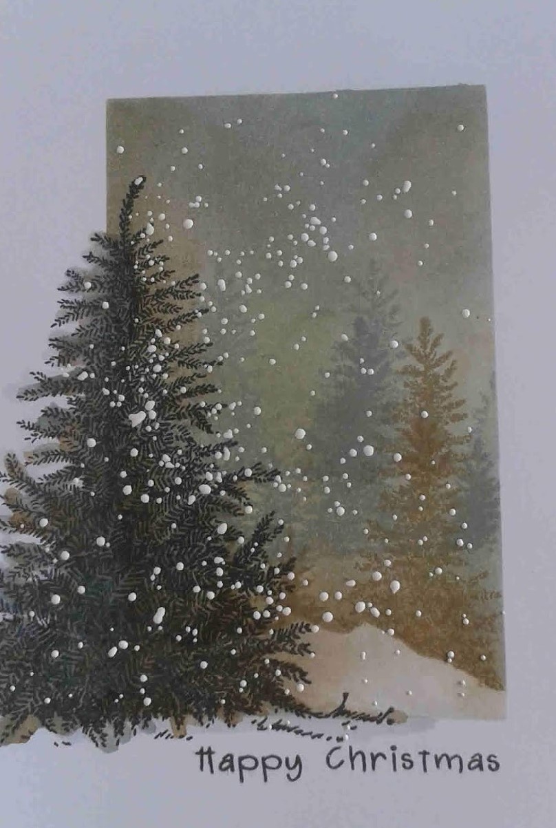 Snowy trees.jpg