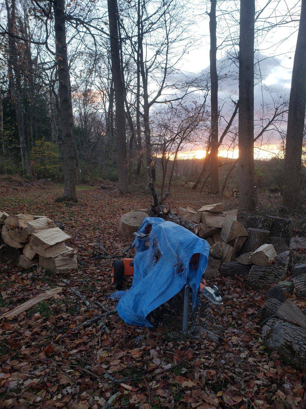 splitter_tree20211115_163332.jpg