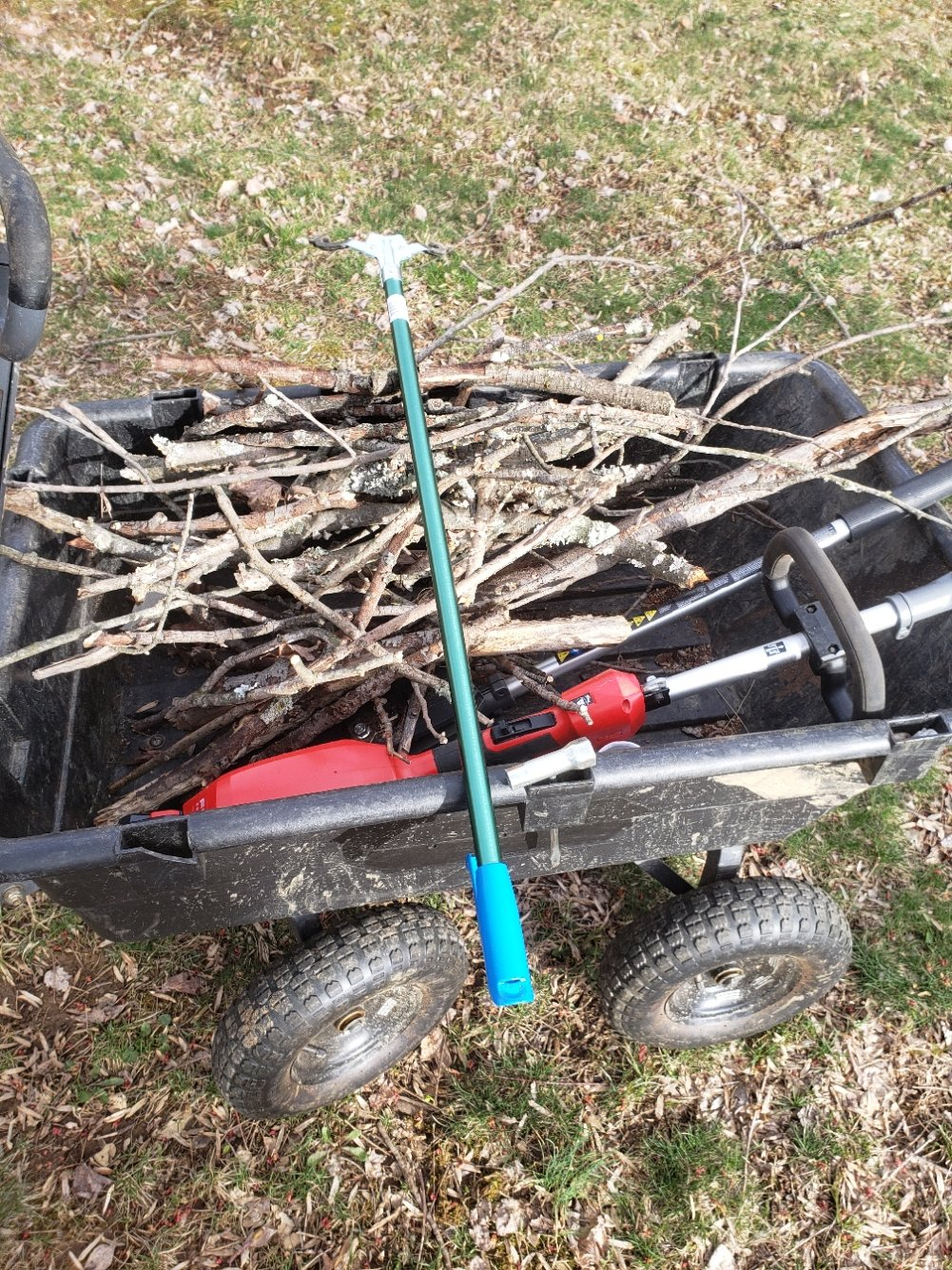 Sticks20220328_173256.jpg