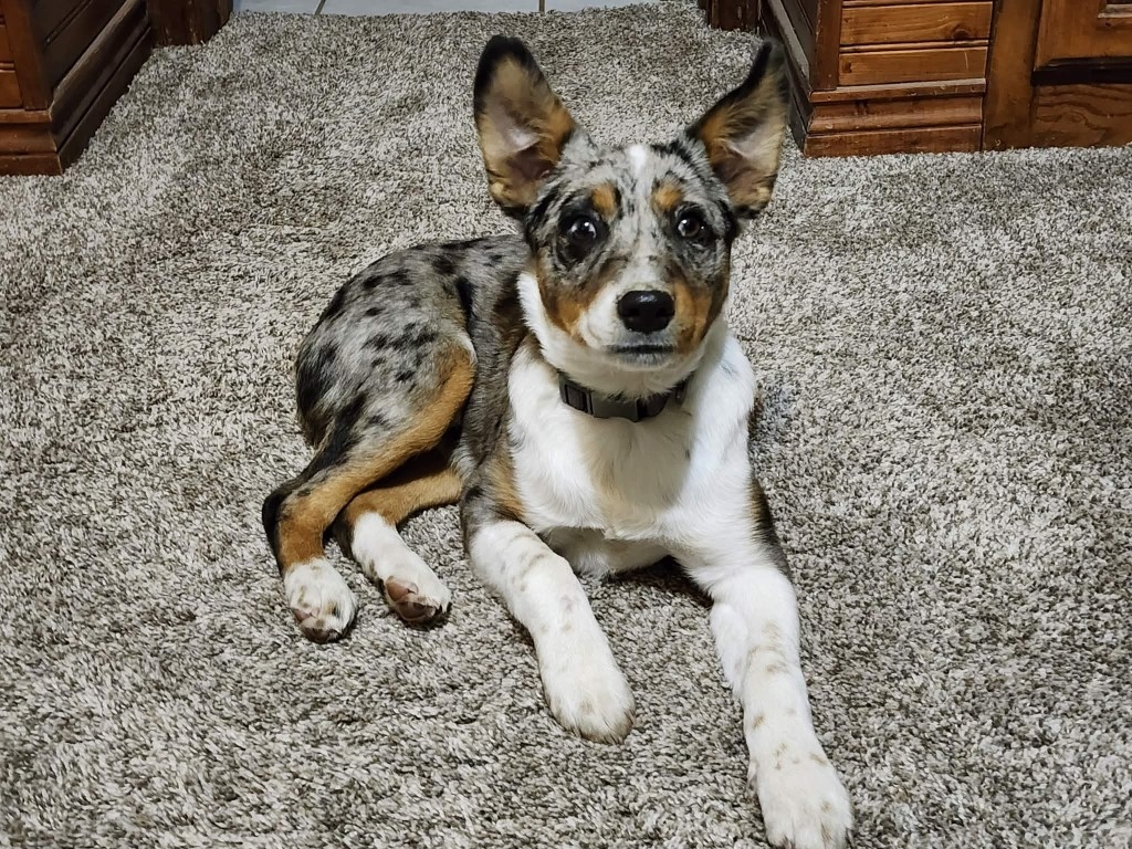 TapeHolder (Medium).jpg