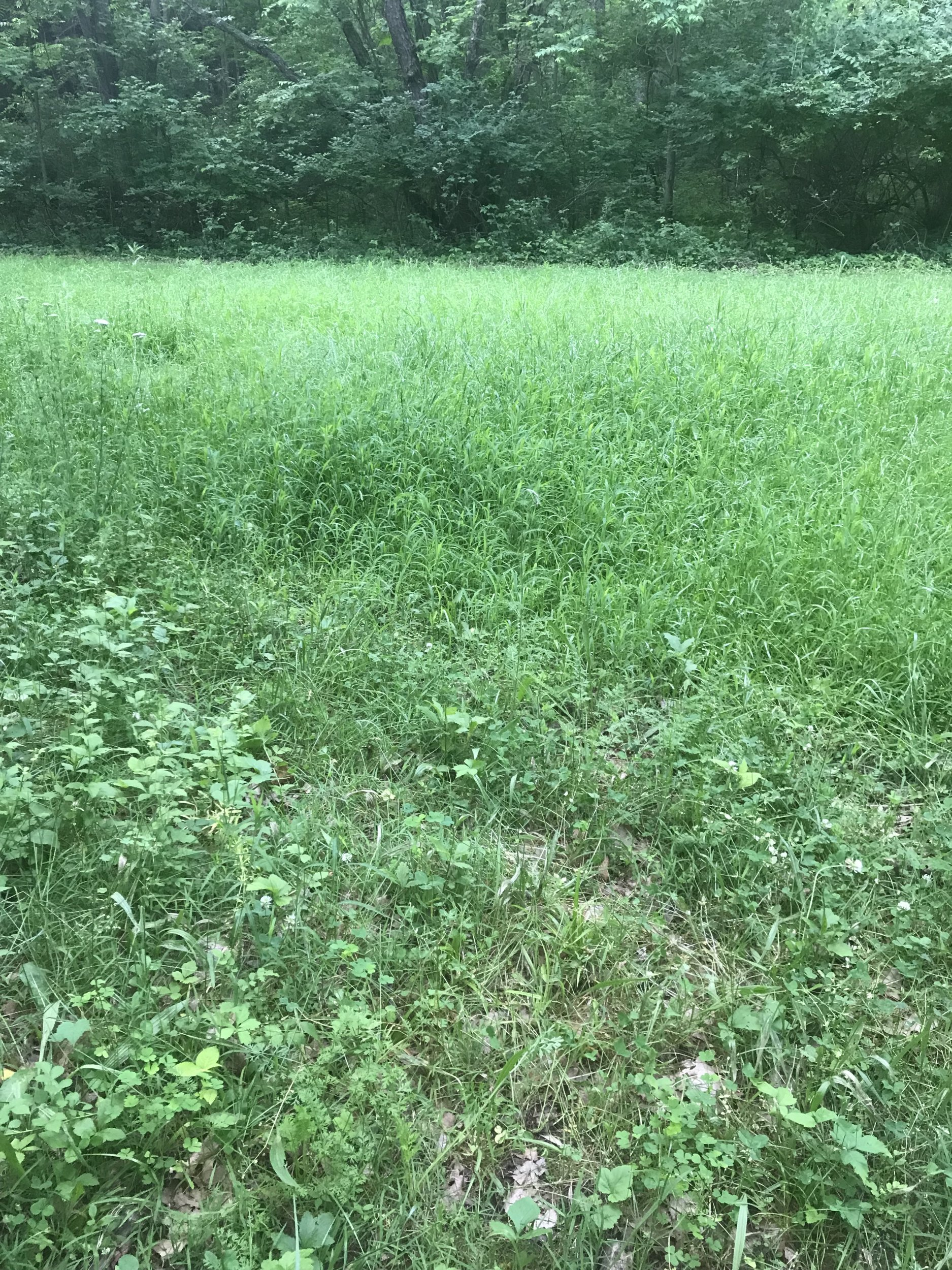 tempImageRKfsPh.jpg tempImageRKfsPh.jpg