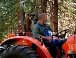 thumbnailFile (5).jpg