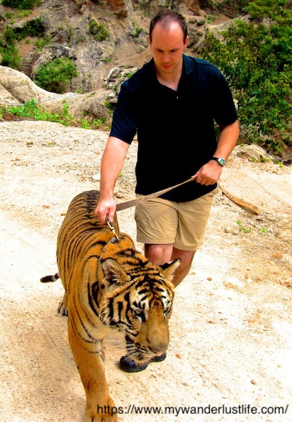 tiger-leash.jpg