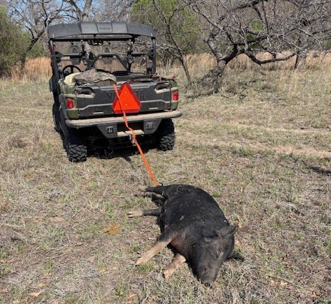 To the trainstation.jpeg