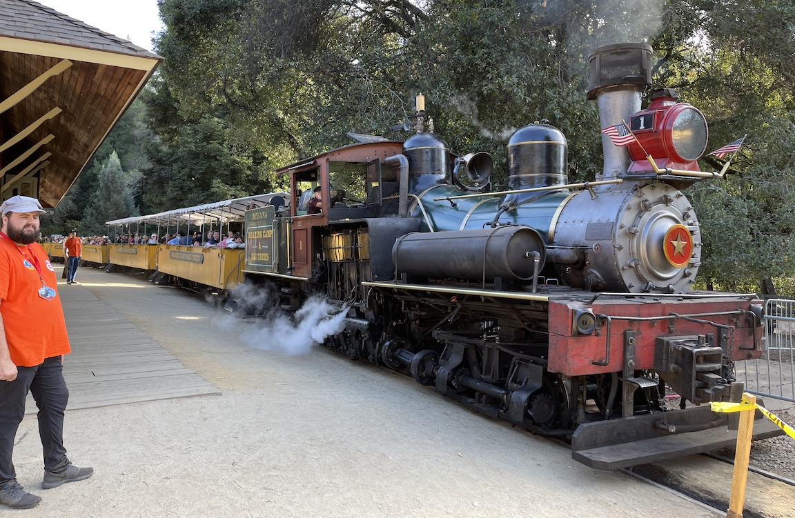 trainRoaringCamp.jpg