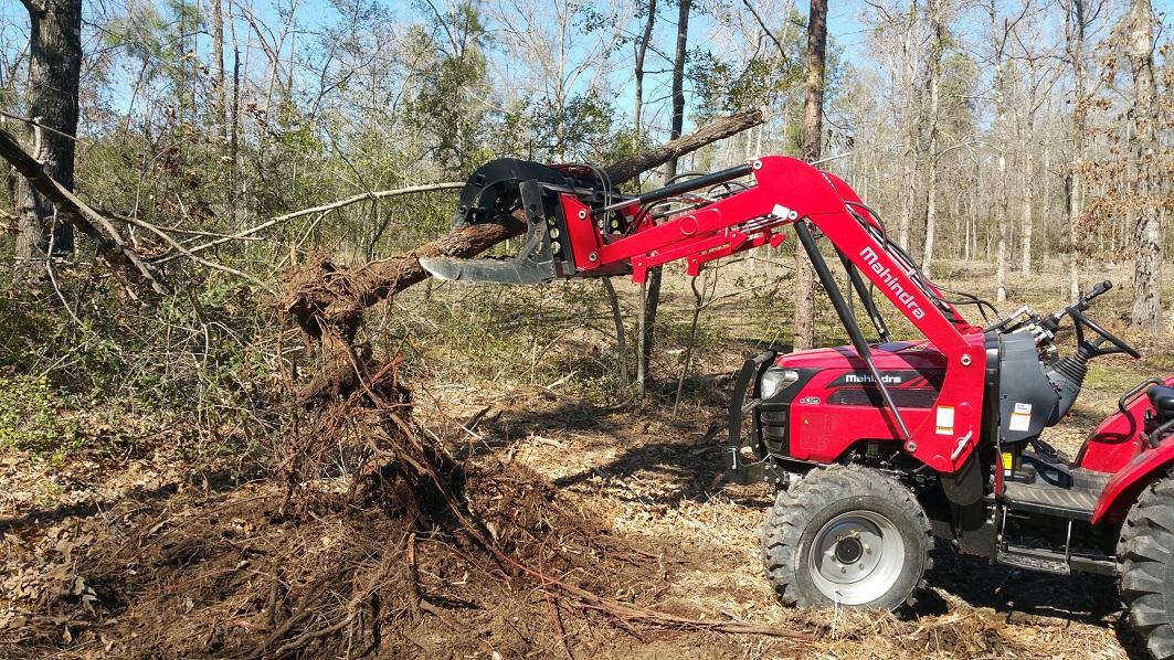 Tree uprooted small 1.jpg