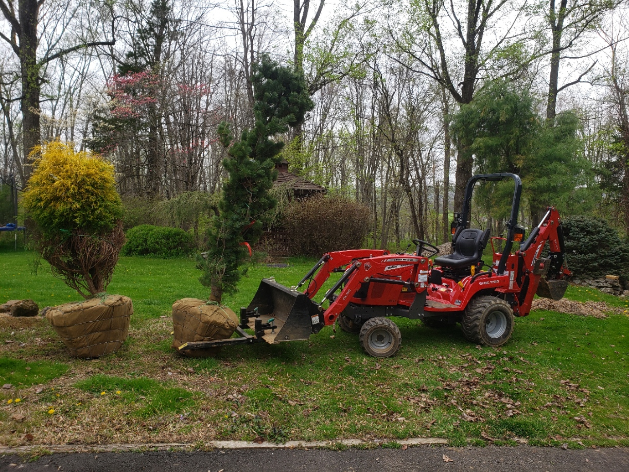 TreeTractor20220425_170012.jpg